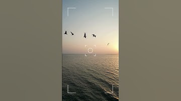 وَإِذْ قَالَ إِبْرَاهِيمُ لِأَبِيهِ آزَرَ أَتَتَّخِذُ أَصْنَامًا آلِهَةً |سورة الأنعام