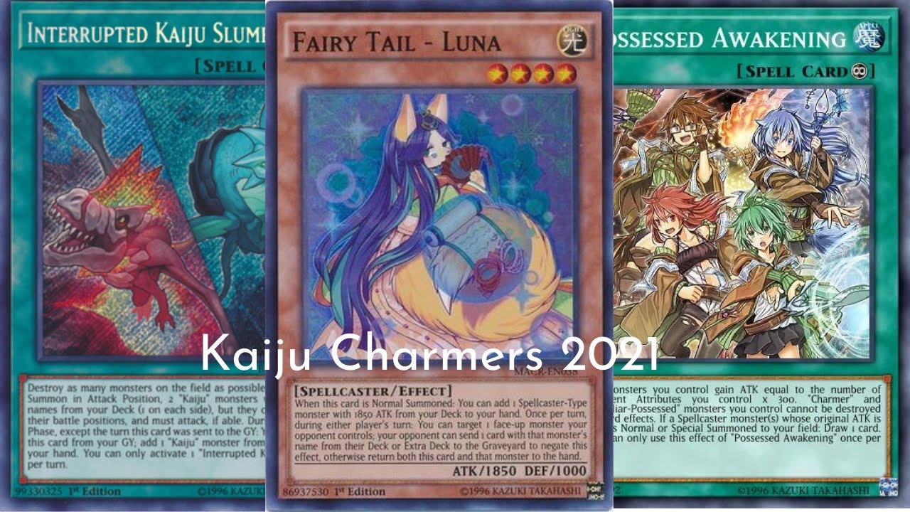 hard card sleeve 3