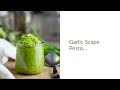 Garlic Scape Pesto Recipe