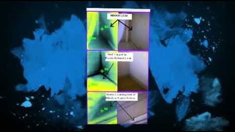 Leak Detection Auckland