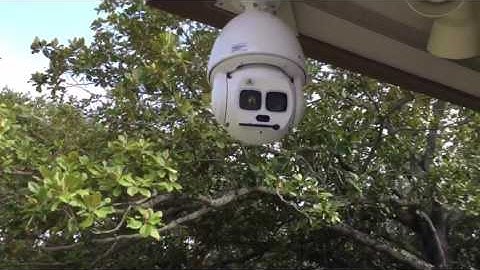 Starlight Laser PTZ Dome Camera