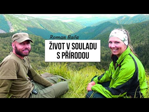 Video: V Souladu S Mainstreamovým Stylem