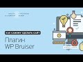 11. Как установить плагин WP Bruiser