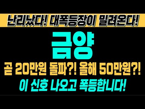 [금양 주가전망][긴급][속보][여의도슈퍼개미 대응전략] 곧 20만원 돌파?! 올해 50만원?! 이 신호 나오고 폭등합니다! 난리났다! 대폭등장이 밀려온다!