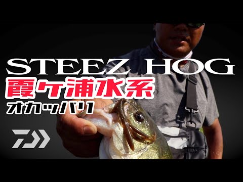 DAIWA 実釣ルアーマニュアル　スティーズホグ(STEEZ HOG)赤羽修弥