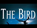 I’m Unlike a Bird 🐦⬛ #funny #storytime #90s #family #thetalkofthetownie