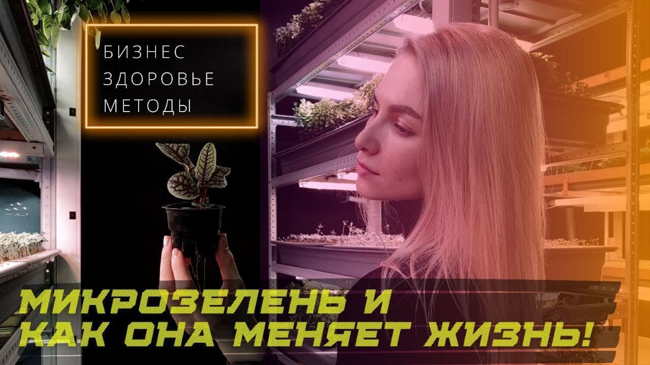 Микрозелень польза / выращивание / бизнес идеи