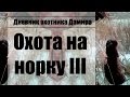 Петля на норку