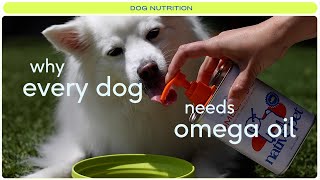 Why Every Dog Needs Omega Oil | FISH OIL FOR DOGS