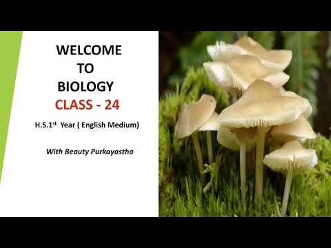 Ch 02| Classification of Fungi | Class XI | CL 24