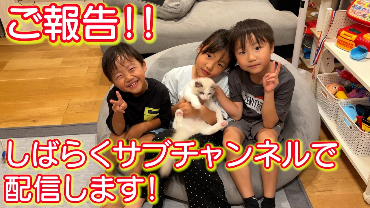 【ご報告】しばらくの間サブチャンネルの”TWINsふたごチャンネル2nd”で配信します！