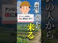 最近ガチプロポーズのマシュマロが届くようになったアンジュカトリーナ #にじさんじ #切り抜き