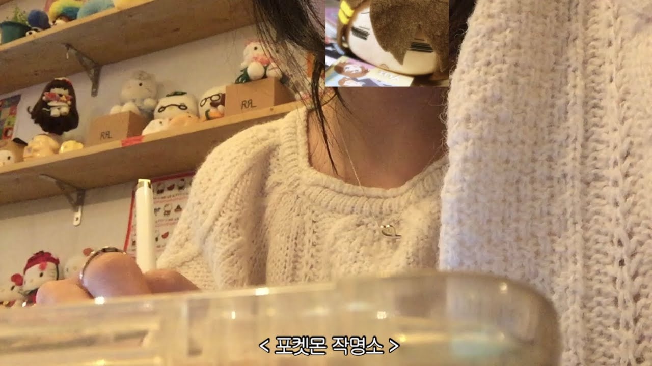 혼자 놀고 혼자 포켓몬하고 혼자 술마시는 브이로그