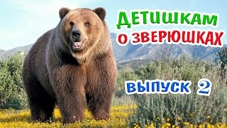 Детям о животных -2! Медведь!Тигр!Поросенок!Кенгуру! Развивающее видео/About animals for toddler!(Детям о животных -2! Медведь! Тигр! Поросенок! Кенгуру! Развивающее видео/About animals for toddler - некоторые интересн..., 2016-06-09T14:25:30.000Z)