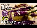 【体のサビ取り】チンして漬けるだけ!ナスの健康効果を倍増!週2で作りたい楽々絶品レシピ