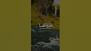 القارئ سالم الرويلي | مقاطع قرآن قصيرة وحالات واتس إسلامية 🌱