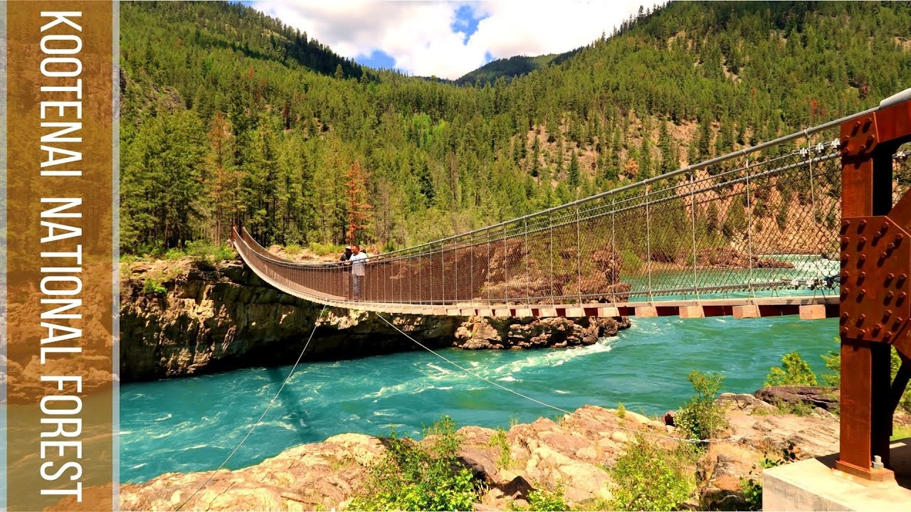 Kootenai National Forest in 2021 Swinging Bridge, Ceder trail, Yaak
