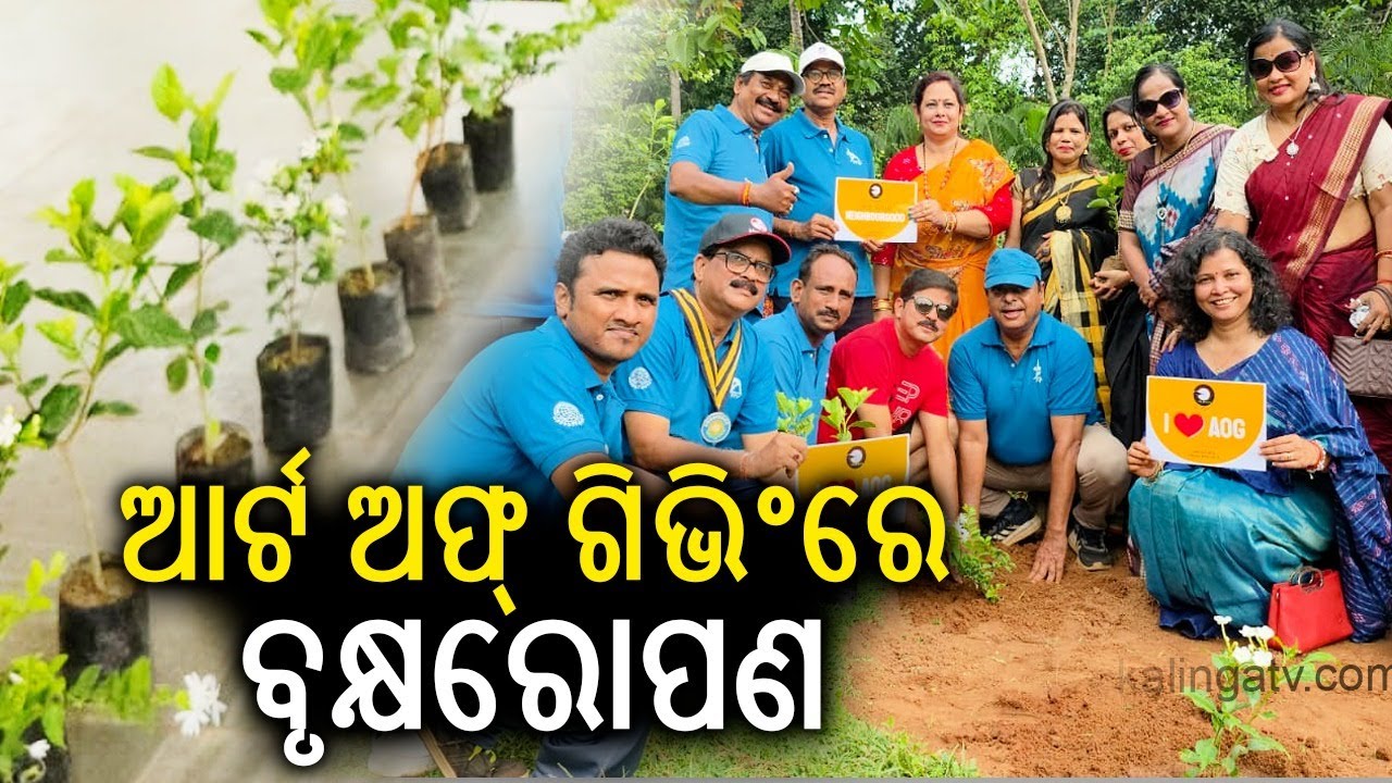 ଆର୍ଟ ଅଫ ଗିଭିଂରେ ବୃକ୍ଷରୋପଣ  || Knews odisha