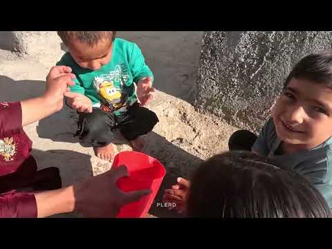 Flower Planting Day: Single Mom and Children Decorate Their Yard