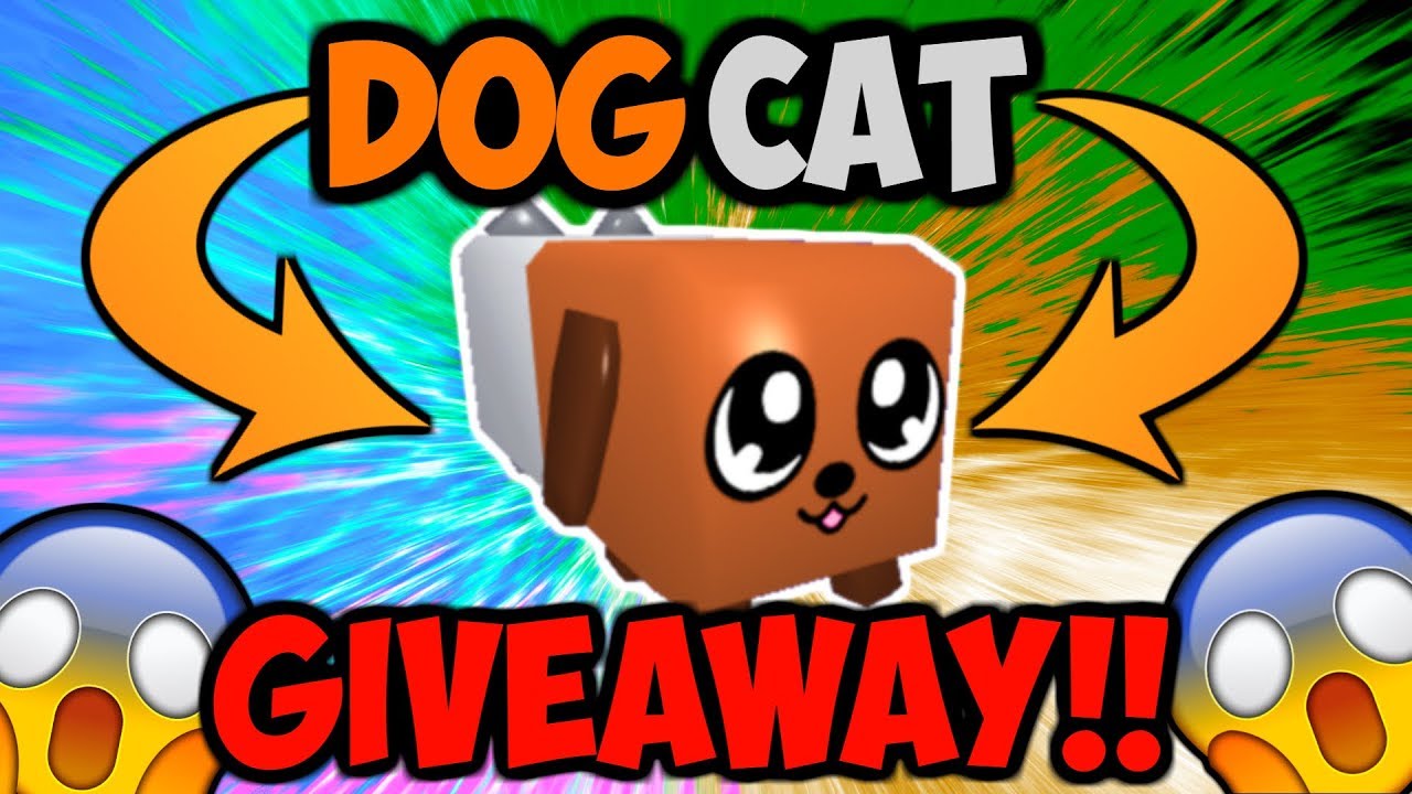 DOGCAT GIVEAWAY!! SECRET PET FOR FREE!! (Bubble Gum Simulator Roblox)