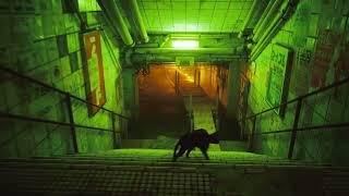 Stray. #15. Sewerage  (Канализация)