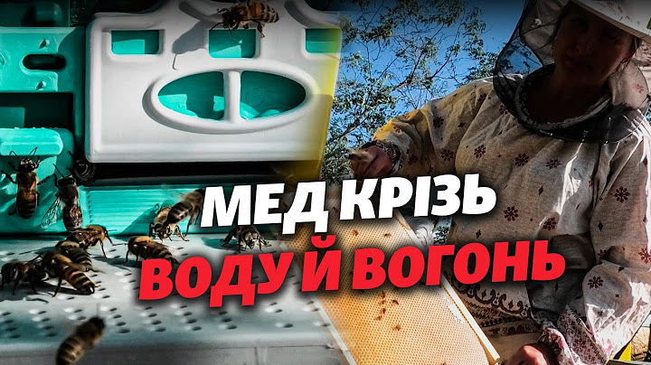 ❗️ «Наша ХЕРСОНЩИНА, як бджілки, ВІДБУДУЄТЬСЯ»: історія пасічників, які пережили КАТАСТРОФУ ГЕС