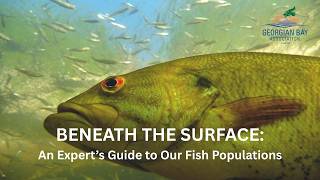 Beneath the Surface: An Expert's Guide to Our Fish Populations