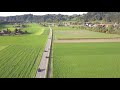 Mavic im Herbst 2017