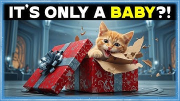 Humans Sent The Deathworld Alliance a Living Gift… The Screaming Hasn’t Stopped | Best HFY Stories