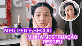 MINHA MESTRUAÇÃO pós parto quando menstruei, MEU LEITE SECOU?