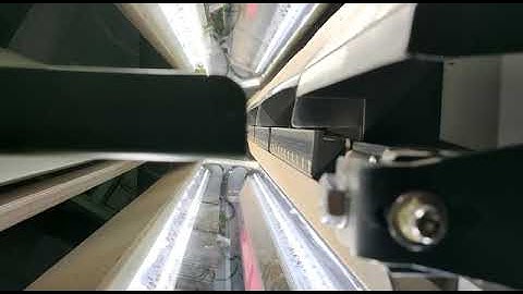 T20 Peanut Sorting- Mark color Sorting