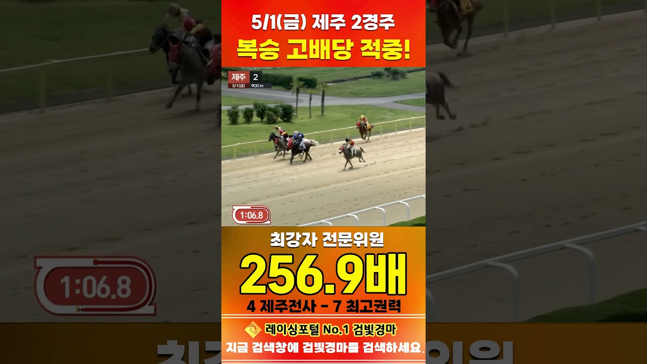 [제주 경마] 5월 1일 금요 2경주 최강자 전문위원 복승 고배당 적중 #경마 #horse #하이라이트 #automobile #한국마사회 #비트코인 #뉴스 #게임 #korean