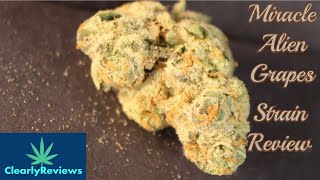 Miracle Alien Grapes By @harborhousecollective STRAIN REVIEW