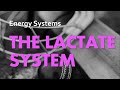 Understanding the Lactate System