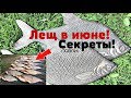 Как наловить гору леща в июне? Секреты советы и хитрости ловли леща летом в июне!