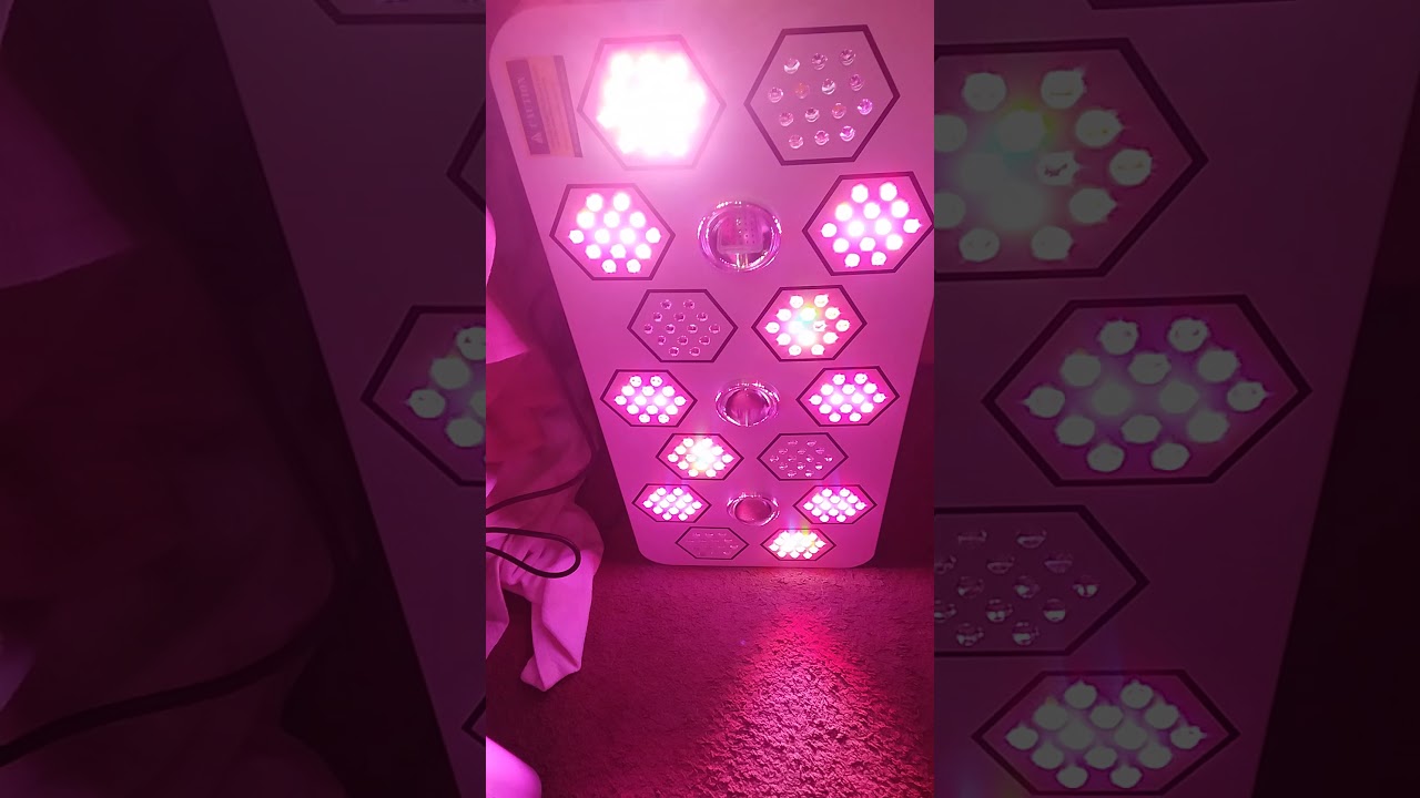 Bloombeast A1280 LED Grow light/First Look