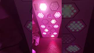 Bloombeast A1280 LED Grow light/First Look