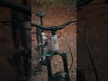 Trail Blazer, Forest Conqueror – meet the AMFLOW PL.🌲🚵‍♂️ #amflowpl #emtb