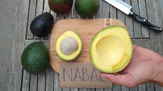 Nabal avocado: a profile