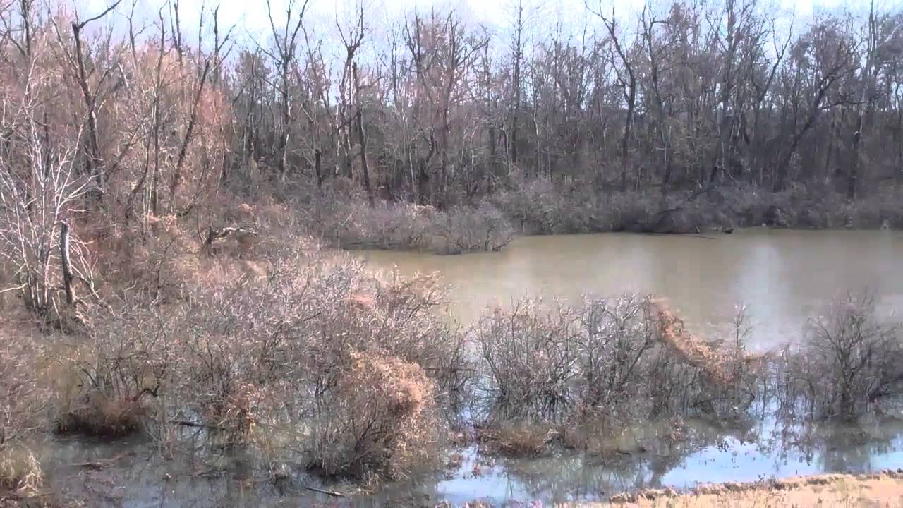 51 ac. Duck and Deer Hunting Land Quitman County Pioneer Auction