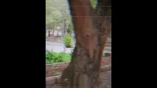 Annette- Mungkin Hari Ini  ( Video Creator)