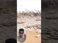 المهم هالخبر فراسك ابن خالتي 🤚🤫