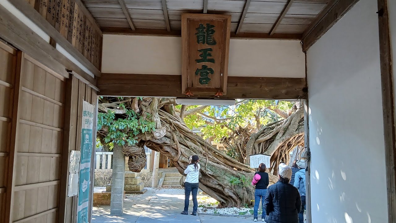 美女5人のツーリング風景を撮影に行った