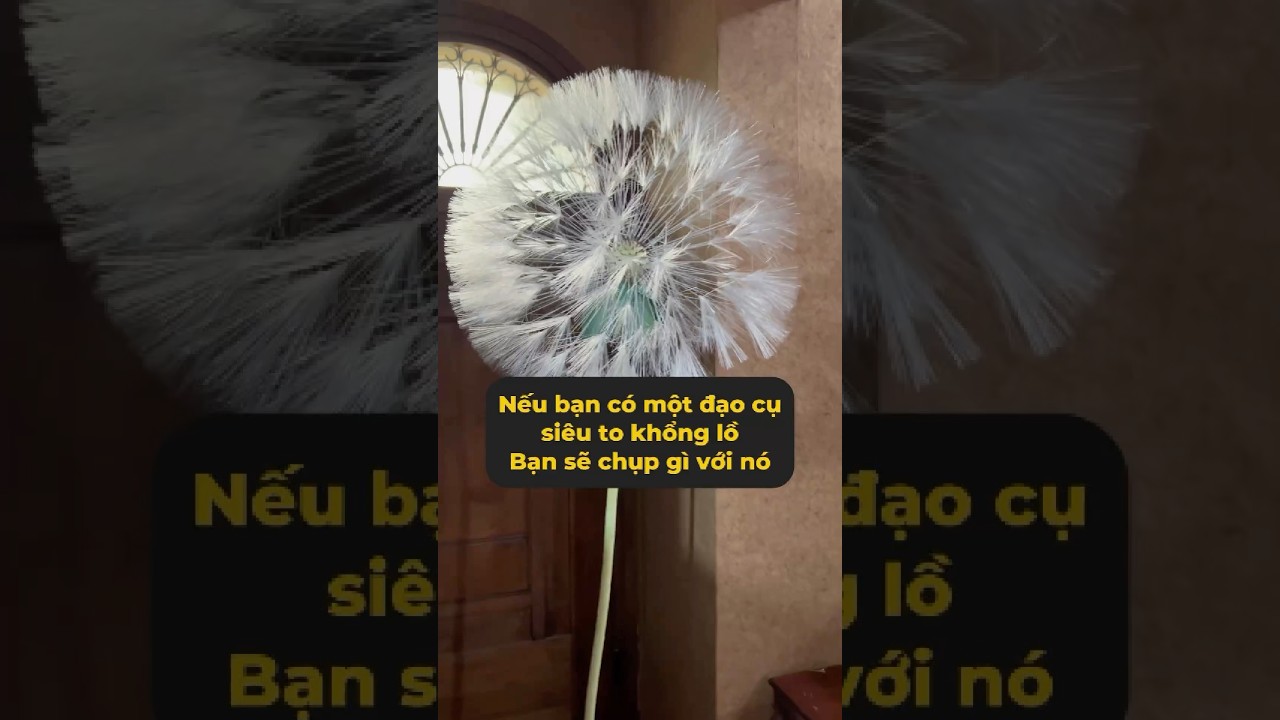 Chụp hình cosplay cùng với đạo cụ siêu to khổng lồ #shorts #cosplay #anime #genz #diy #creative