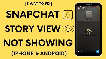 Snapchat Story Views Not Showing (2024)