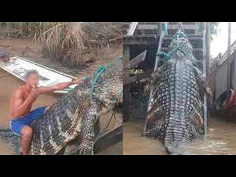 Something Terrifying Is Hiding in the Madeira River