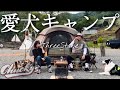 【愛犬キャンプ】スリーストーンでKOVEA ゴーストシェルターを初張り。愛犬とキャンプを楽しむ。【新幕】