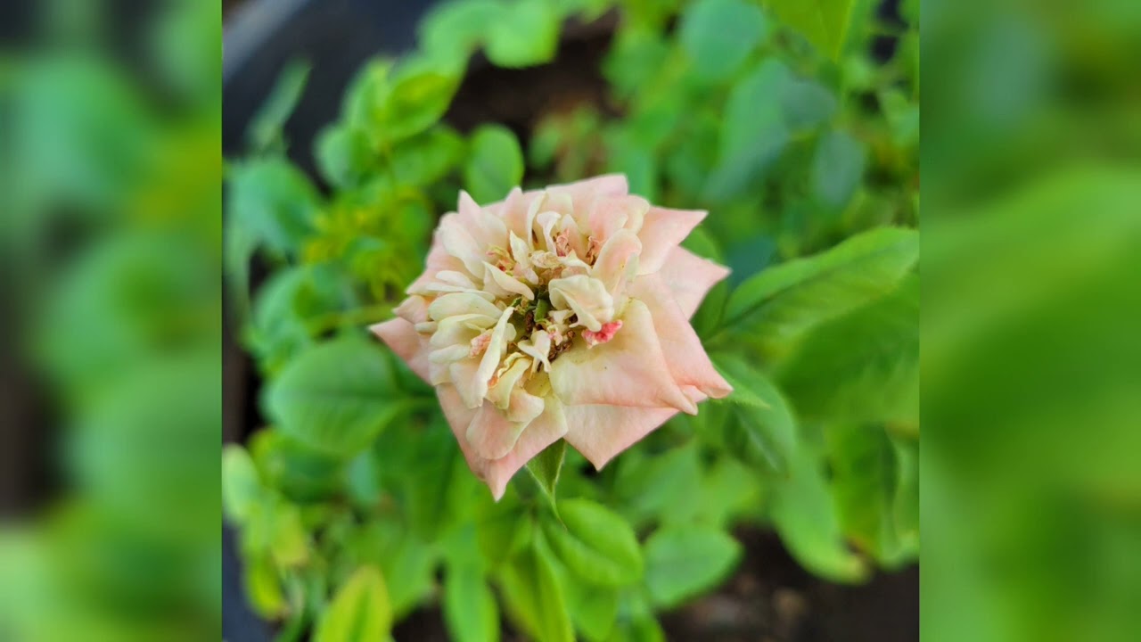 9. Chill Out (Prod. 2PHONENOAH)