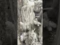 Raz 12" Crusted Icicle Glass Christmas Ornament 4624673