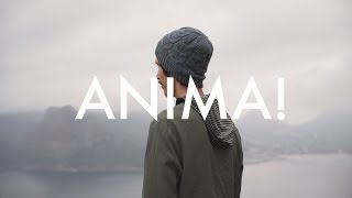 ANIMA! - Songololo Music Artist Spotlight chords